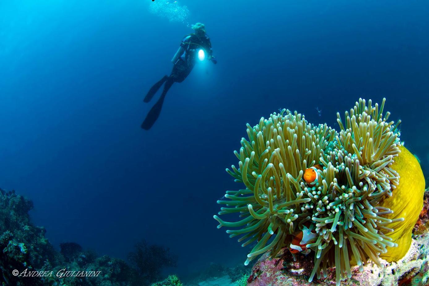 Sunset Cove Beach & Dive Resort Romblon Exteriör bild